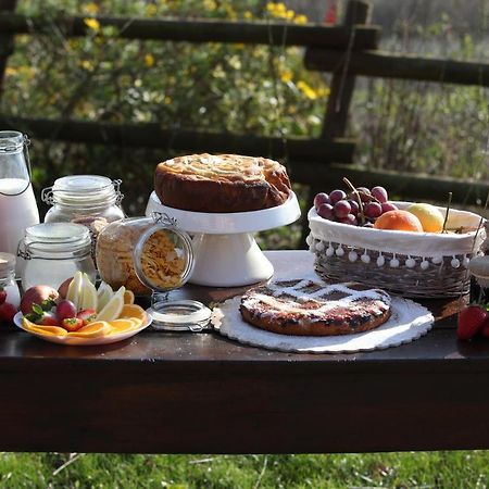 Bed and Breakfast La Cascina Nel Bosco Faicchio Zewnętrze zdjęcie