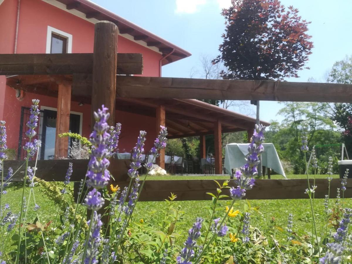 Bed and Breakfast La Cascina Nel Bosco Faicchio Zewnętrze zdjęcie