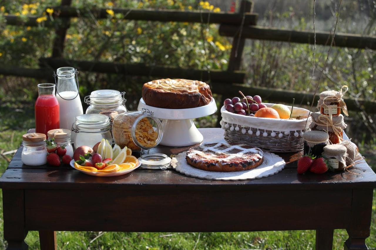 Bed and Breakfast La Cascina Nel Bosco Faicchio Zewnętrze zdjęcie