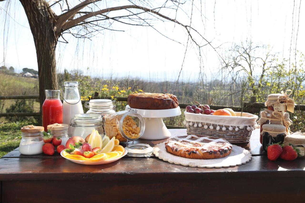 Bed and Breakfast La Cascina Nel Bosco Faicchio Zewnętrze zdjęcie